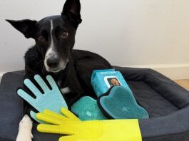 The Best Dog Grooming Gloves Dog grooming gloves are a quick and easy way to groom your dog during bath time.