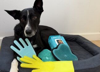 The Best Dog Grooming Gloves Dog grooming gloves are a quick and easy way to groom your dog during bath time.