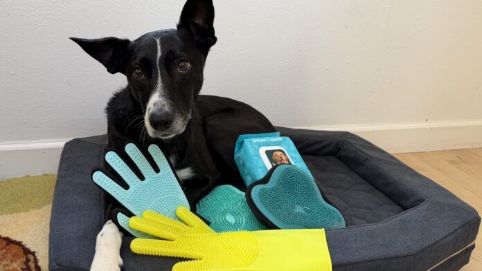 IMG_5371 Dog grooming gloves are a quick and easy way to groom your dog during bath time.
