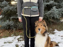 The best dog leashes combine comfort, ease of use, and durability.