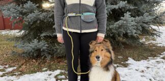 The best dog leashes combine comfort, ease of use, and durability.