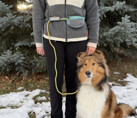 The Best Dog Leashes The best dog leashes combine comfort, ease of use, and durability.
