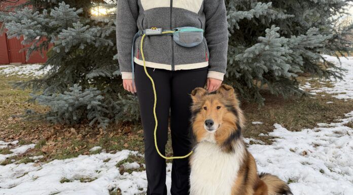 The best dog leashes combine comfort, ease of use, and durability.