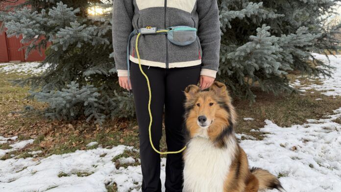 The best dog leashes combine comfort, ease of use, and durability.