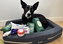 Dog grooming wipes fill the gap between a dirty dog, and freshly bathed dog when you're out and about.