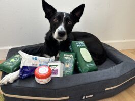 The Best Dog Grooming Wipes Dog grooming wipes fill the gap between a dirty dog, and freshly bathed dog when you're out and about.