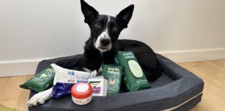 Dog grooming wipes fill the gap between a dirty dog, and freshly bathed dog when you're out and about.