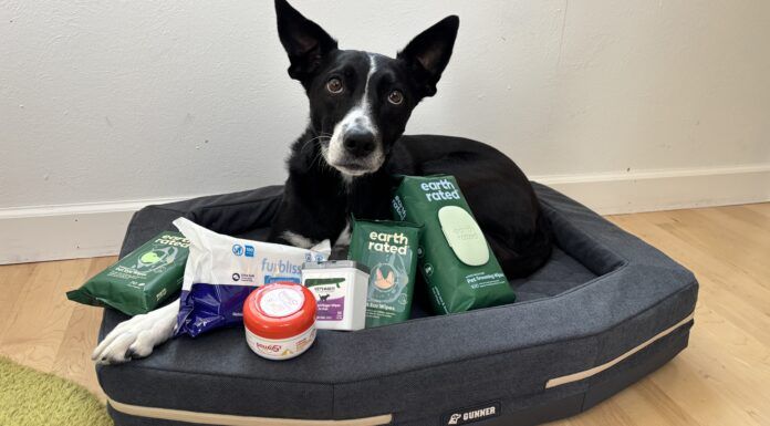 Dog grooming wipes fill the gap between a dirty dog, and freshly bathed dog when you're out and about.