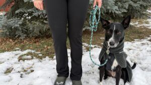 The Mendota is one of the best dog leashes and combines comfort and durability.