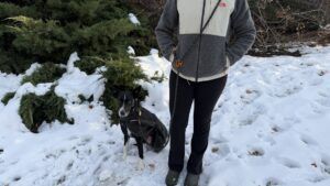 The most versatile leash was the Dogwear Rock Leash.