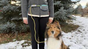 The Ruffwear hitch hikers is the best dog leash reviewed for outdoor adventures.