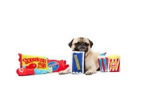 A dog poses with the contents of the Barkbox subscription box.