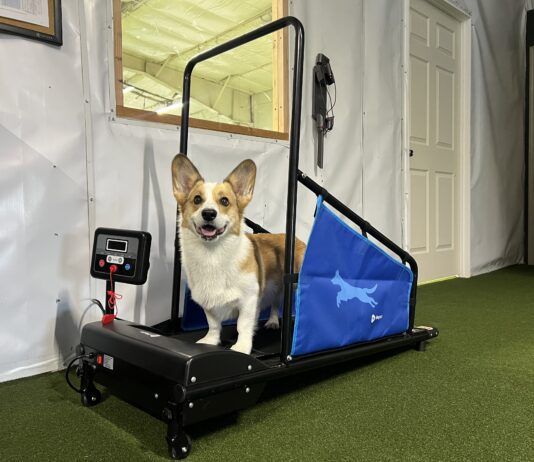 Too short of a dog tread mill isn't usable even for small dogs.