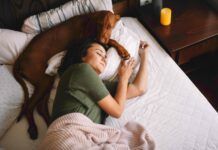 Dogs know when you are feeling sick and will often attempt to comfort their humans.