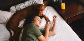 Dogs know when you are feeling sick and will often attempt to comfort their humans.