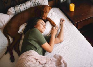 Does Your Dog Know When You’re Sick? Dogs know when you are feeling sick and will often attempt to comfort their humans.