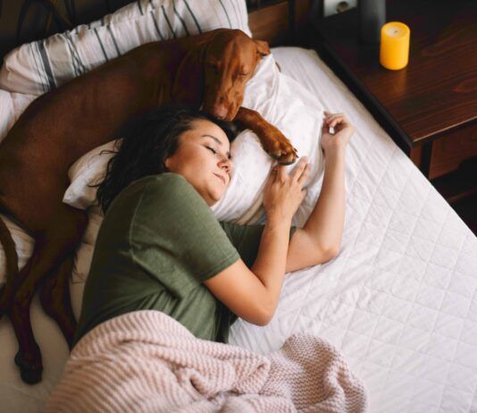 Dogs know when you are feeling sick and will often attempt to comfort their humans.