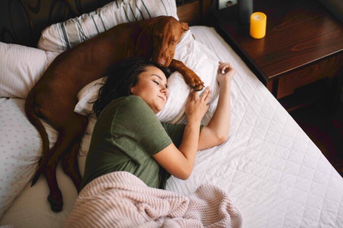 GettyImages-1215892483 (2) Dogs know when you are feeling sick and will often attempt to comfort their humans.