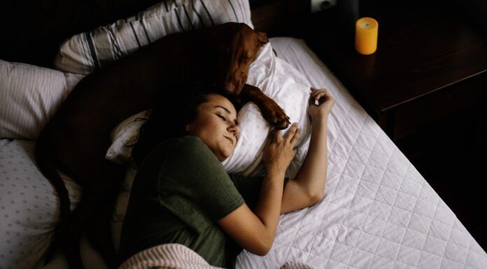 Dog's can tell when you're sick and will often try to comfort you.