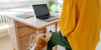 What can you do with a dog that is constantly whining for attention?