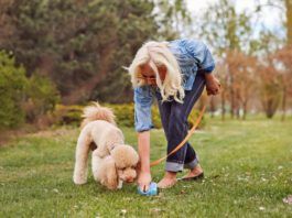 A dog should poop multiple times a day, but the exact amount can vary due to diet, exercise and health.