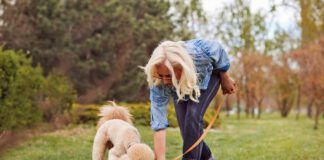 A dog should poop multiple times a day, but the exact amount can vary due to diet, exercise and health.