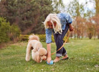 How Often Do Dogs Poop? A dog should poop multiple times a day, but the exact amount can vary due to diet, exercise and health.