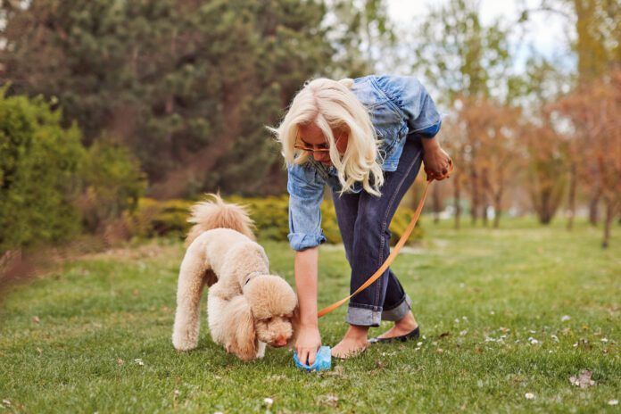 A dog should poop multiple times a day, but the exact amount can vary due to diet, exercise and health.