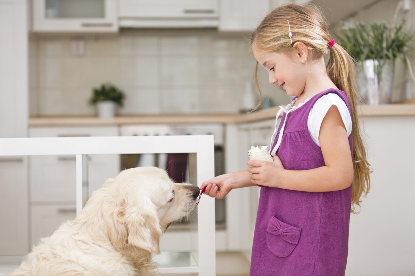 Is Yogurt Good for Dogs? - Whole Dog Journal