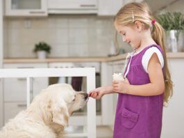 Is Yogurt Good for Dogs? Dog's can eat yogurt and it might be healthy for them.