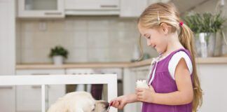 Dog's can eat yogurt and it might be healthy for them.