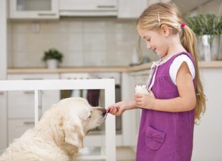 Dog's can eat yogurt and it might be healthy for them.