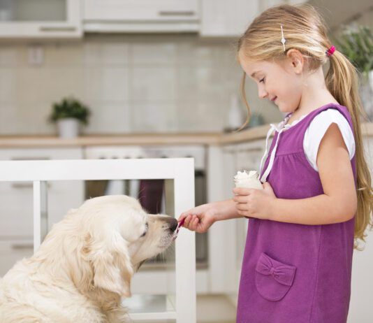 Is Yogurt Good for Dogs? Dog's can eat yogurt and it might be healthy for them.