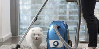The best vacuums for dog hair combine convenience, ease of use, and functionality into a handy package,