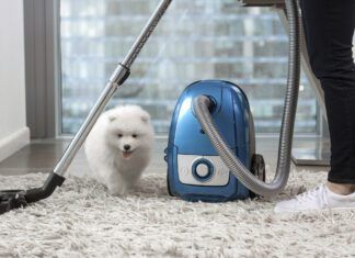 The best vacuums for dog hair combine convenience, ease of use, and functionality into a handy package,