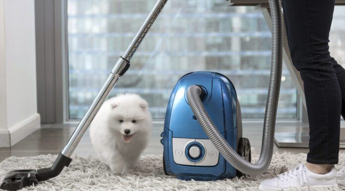 The best vacuums for dog hair combine convenience, ease of use, and functionality into a handy package,