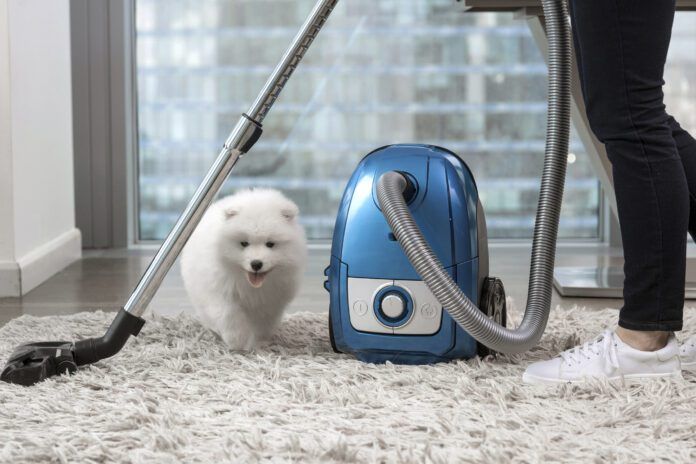 The best vacuums for dog hair combine convenience, ease of use, and functionality into a handy package,