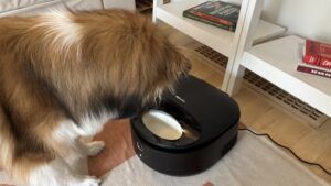 The Petlibro polar is an automatic dog feeder capable of keeping wet food cold for days.