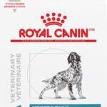 Royal Canin vegan dog food.