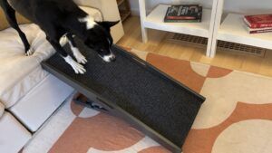 Short compact and easy to store dog ramps work best from short furniture and for small dogs.