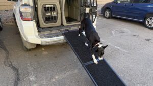 The Everyyay portable ramp is the best overall dog ramp of those reviewed although it is not compact.