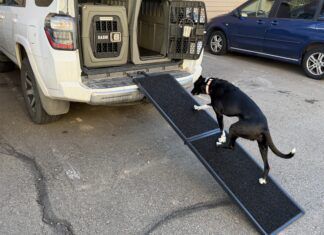 The best dog ramps offer a gentle incline, traction, and stability.