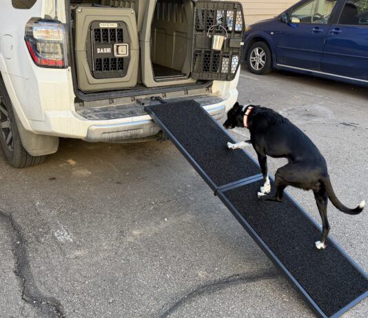 The best dog ramps offer a gentle incline, traction, and stability.