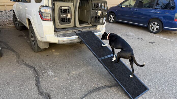 Header The best dog ramps offer a gentle incline, traction, and stability.