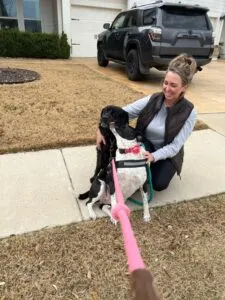 Do dog's remember their puppies? They might remember more than they let on.