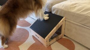 The Doggo Ramps Step-Ramp is well made but awkward to use.