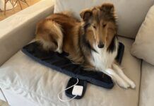 The best PEMF products for dogs provide a good range of settings and are easy to use.