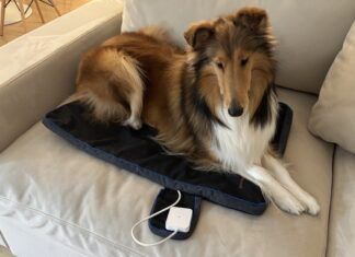 The Best PEMF Products for Dogs The best PEMF products for dogs provide a good range of settings and are easy to use.