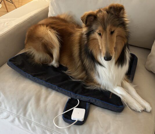 The best PEMF products for dogs provide a good range of settings and are easy to use.