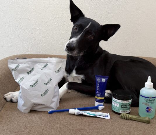 The best dog teeth cleaning products come in a variety of forms.